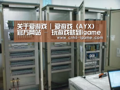 爱游戏案例展示五
