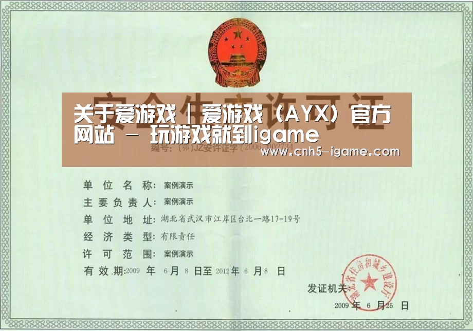 爱游戏荣誉证书三