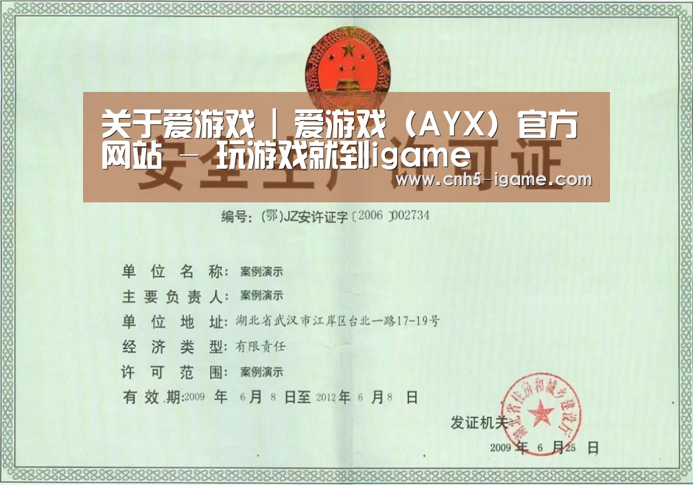 爱游戏荣誉证书三(图1)