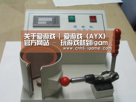 爱游戏案例展示六