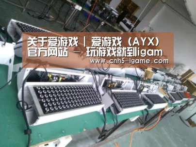 爱游戏案例展示一(图1)