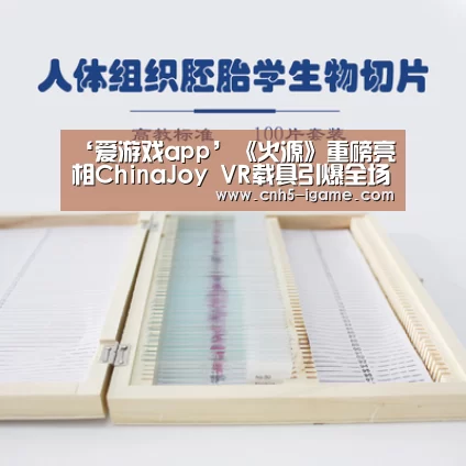 ‘爱游戏app’《火源》重磅亮相ChinaJoy VR载具引爆全场(图2) 爱游戏