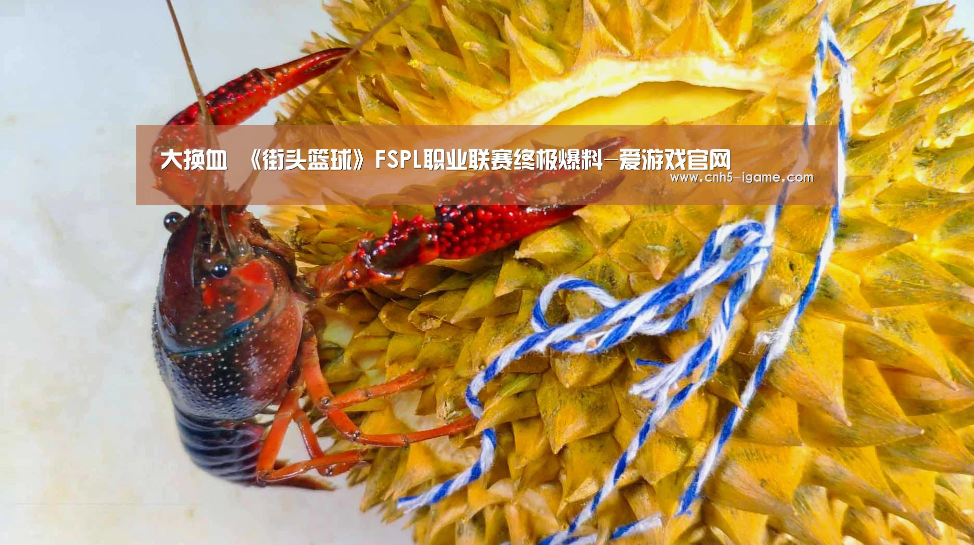 爱游戏官网